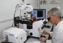 Chilenos proponen tratamiento contra el alzhéimer con nanopartículas de oro