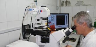 Chilenos proponen tratamiento contra el alzhéimer con nanopartículas de oro