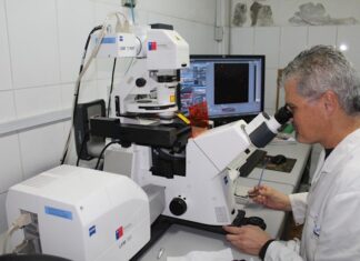 Chilenos proponen tratamiento contra el alzhéimer con nanopartículas de oro