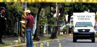 Directora del Observatorio de la violencia dice que la población hondureña se ha acostumbrado a vivir con la violencia y criminalidad