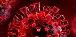 Cada minuto Honduras confirma un nuevo caso de Covid-19, alerta médico internista