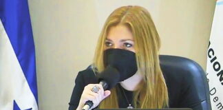 La consejera Ana Paola Hall denuncia que existen un afán externo para controlar el CNE previo a las elecciones generales