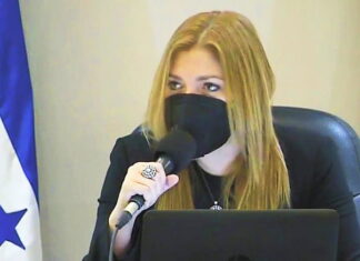 La consejera Ana Paola Hall denuncia que existen un afán externo para controlar el CNE previo a las elecciones generales