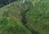La Biosfera del Rio Plátano podría desaparecer en los próximos 7 años, debido a la deforestación