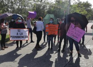 Docentes Proheco protestan a nivel nacional exigiendo permanencia y nivelación salarial