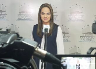 «Necesitamos la Ley Procesal Electoral, desearíamos que el CN la ponga en la agenda la próxima semana”, manifiesta magistrada