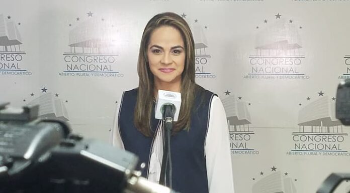 «Necesitamos la Ley Procesal Electoral, desearíamos que el CN la ponga en la agenda la próxima semana”, manifiesta magistrada