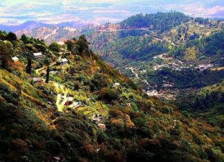 Denuncian que La Tigra podría convertirse en una ZEDE