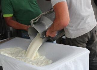 Ganaderos paralizan la producción de leche en Olancho ante los desacuerdos con los artesanales