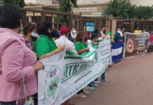 Paro de labores en el RNP genera suspicacias en todos los sectores, según analista político