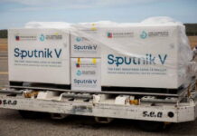 Esta semana se sabrá la fecha en que llegará la vacuna Sputnik V, según la ministra de salud