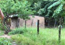 Una enemistad es la principal hipótesis de la masacre en San Jerónimo, Comayagua