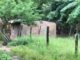 Nueva masacre deja 5 personas muertas en San Jerónimo, Comayagua