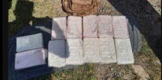 Incautan paquetes de supuesta cocaína dentro de un vehículo en Tela