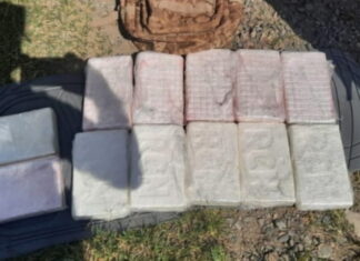 Incautan paquetes de supuesta cocaína dentro de un vehículo en Tela