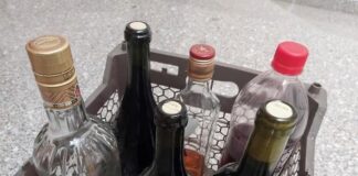 Revelan el mecanismo cerebral detrás del consumo compulsivo de alcohol