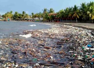 Honduras pide nuevamente a Guatemala tomar acciones para detener la basura que llega a las playas en Omoa, Cortés
