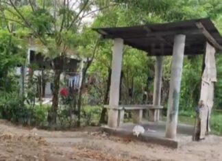 Hallan cabeza humana con un rótulo «Por ratero» en El Progreso, Yoro