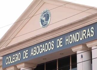 Colegio de Abogados califica a los diputados de falsos y sinvergüenzas por no querer retornar a sesiones presenciales
