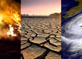 Cómo salvar miles de vidas del calor extremo causado por el cambio climático