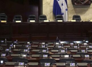 Estos son los diputados que conformarán el Congreso Nacional 2022-2026