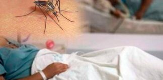 Alerta amarilla en San Pedro Sula por aumento de casos de dengue grave