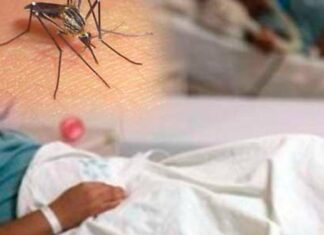 Continúan en ascenso los casos por dengue en la Región Metropolitana de Cortés