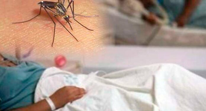 Alerta amarilla en San Pedro Sula por aumento de casos de dengue grave