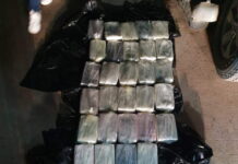 Decomisan 29 paquetes de clorhidrato de cocaína dentro de un carro en Olancho