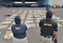 Asciende a 700 millones de lempiras el monto total de la droga decomisada en Roatán