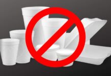 Costa Rica prohíbe el uso del estereofón en establecimientos comerciales