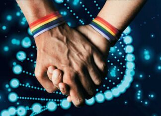 Estudio aborda la supervivencia de la homosexualidad durante la evolución