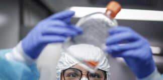 El 20 % de los sanados no desarrolla inmunidad al Covid-19, según estudio