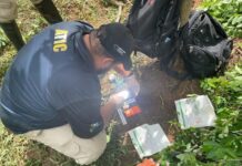 La ATIC destruye nueva plantación de coca y la estructura de un narcolaboratorio en La Mosquitia