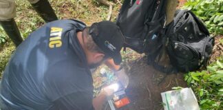 La ATIC destruye nueva plantación de coca y la estructura de un narcolaboratorio en La Mosquitia