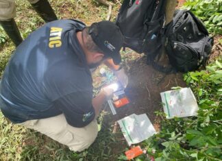 La ATIC destruye nueva plantación de coca y la estructura de un narcolaboratorio en La Mosquitia