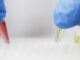EE. UU. descarta que el coronavirus fuera diseñado como un arma biológica
