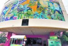 Dictan auto de apertura a juicio contra exdirectora del PANI acusada de fraude