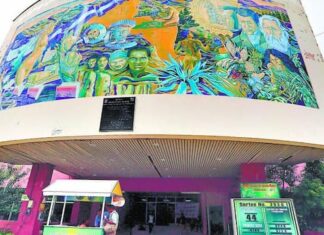 Dictan auto de apertura a juicio contra exdirectora del PANI acusada de fraude