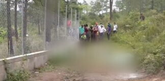 Perros Rottweiler matan a hombre y a su mascota en San Matías