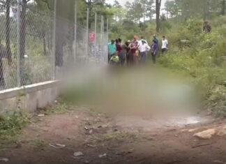 Perros Rottweiler matan a hombre y a su mascota en San Matías