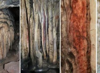 Científicos constatan el origen humano de las pinturas más antiguas del mundo