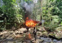 Aseguran otra plantación de arbustos de coca y un narco-laboratorio en Colón