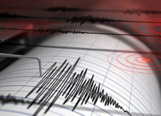 El terremoto en Haití deja más de 800 réplicas en Cuba