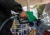 A partir de este lunes los combustibles tendrán un nuevo incremento en el país