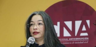 Piden respaldo internacional para Gabriela Castellanos por ataques de intimidación al CNA
