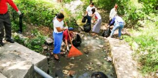 Sancionarán a propietarios de terrenos que no realicen la respectiva limpieza, anuncia portavoz de la PMDC