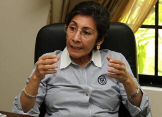 Es de preocuparse que soliciten 98 hondureños en extradición, porque es responsabilidad del gobierno, dice diputada del PSH