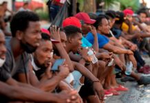 La crisis haitiana se expande por todo México y refleja la tragedia migrante