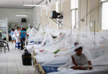 Más de 7 mil casos de dengue reporta Honduras